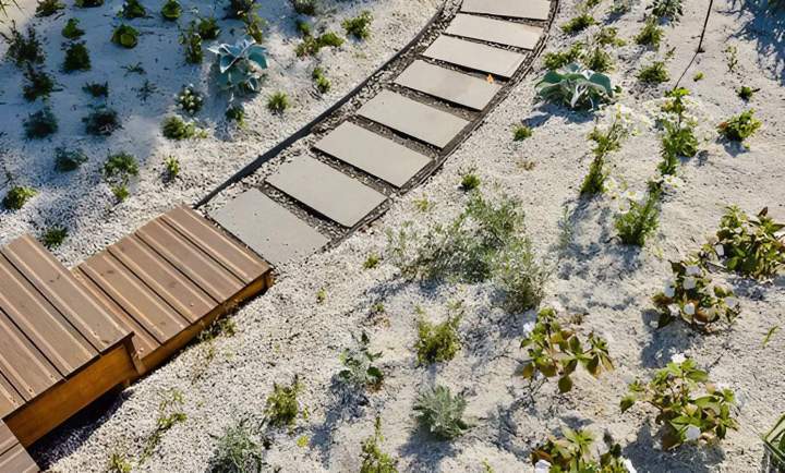 Plantation jardin Dieppe